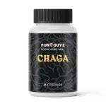 Chaga
