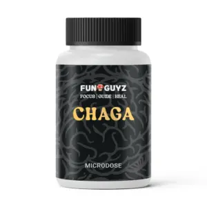 Chaga