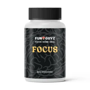 Focus