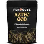 Aztec God