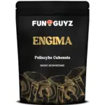Engima