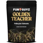 Golden Teacher
