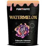 Gummies (Watermelon)