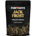 Jack Frost