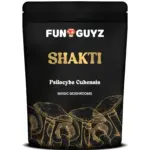 Shakti