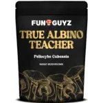 True Albino Teacher