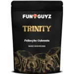 Trinity