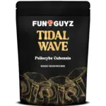 Tidal Wave