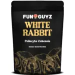 White Rabbit